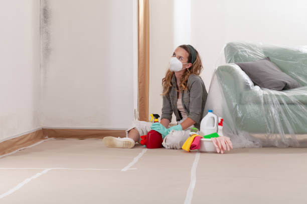 Reliable Mold Remediation contractor in Bear Creek, NC by Cheap Mold Removal